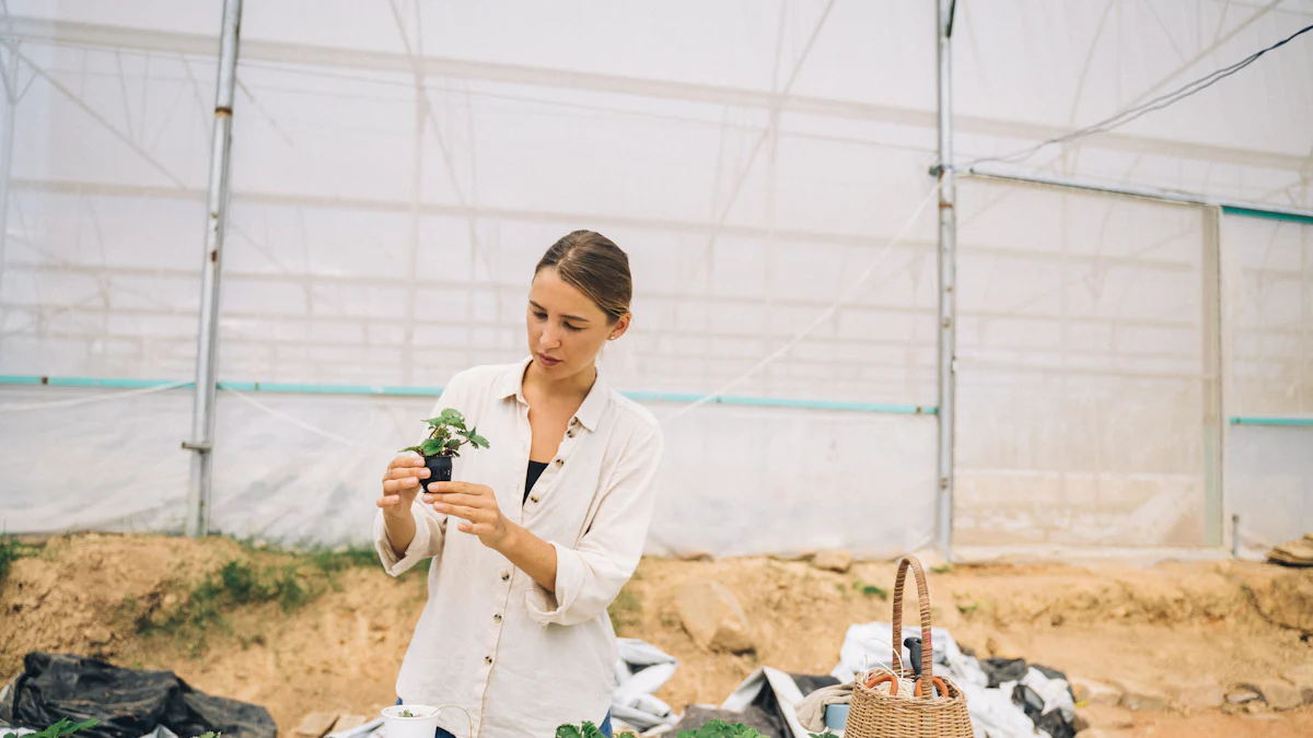 Hydroponic Drip Systems vs Ebb and Flow: Which Reigns Supreme?