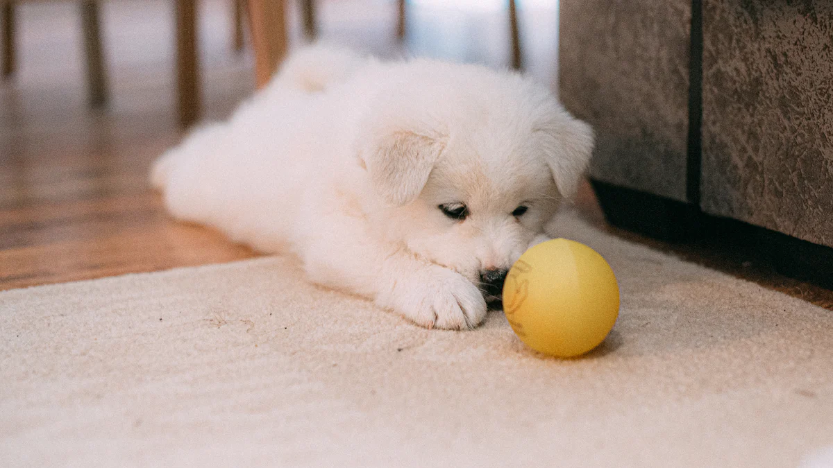 flauscheg Hond Spillsaachen