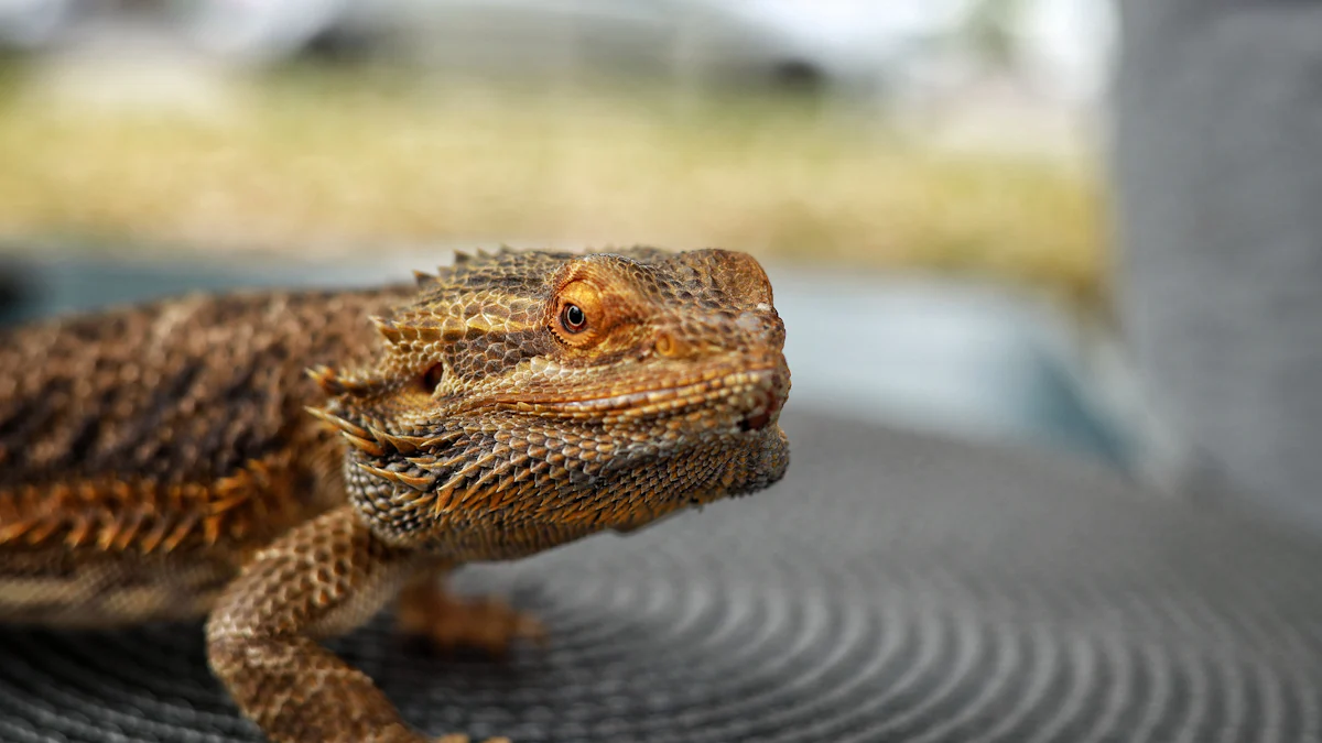 Are Mealworms a Healthy Choice for Reptiles in 2025