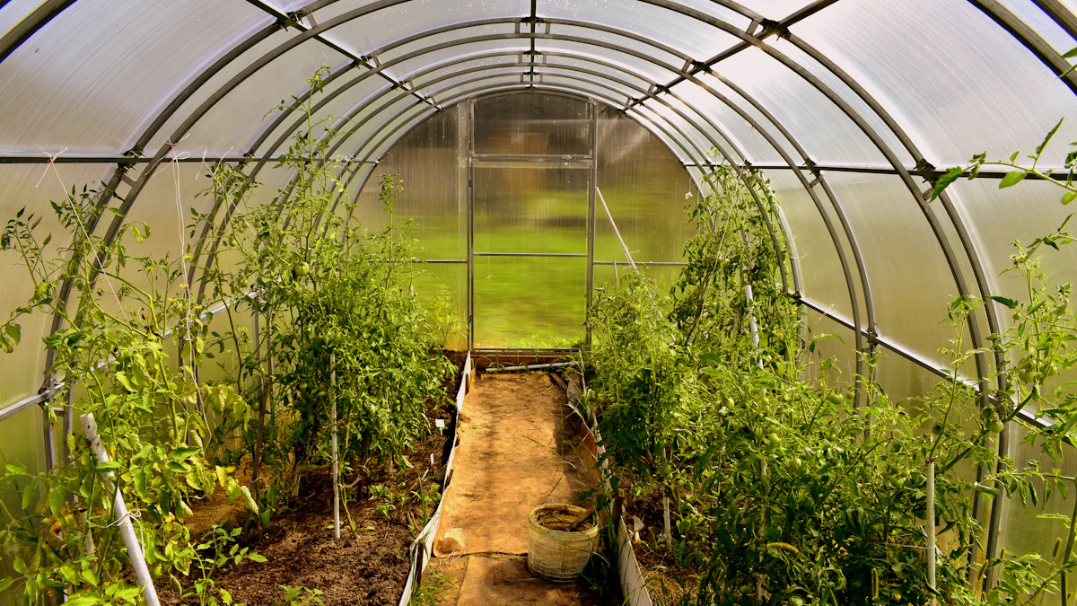 Yaqindan pisish video Yaqindan pisish video