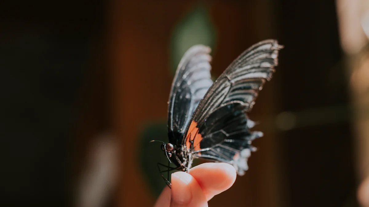 Which Butterfly White Gold Ring Suits You?