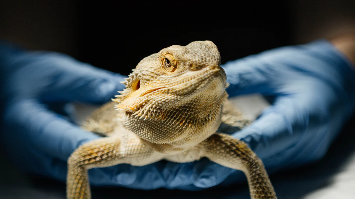 Method of Feeding Mealworms