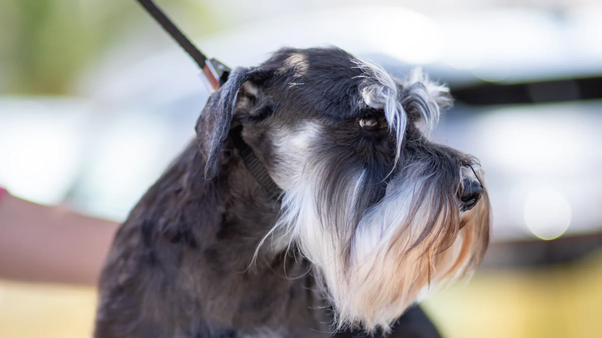 Bienfaits physiques pour le maître