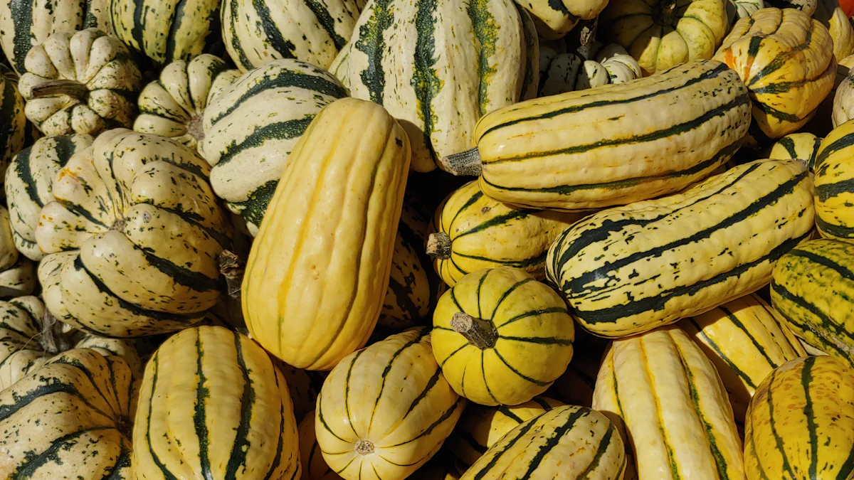 Understanding Delicata Squash