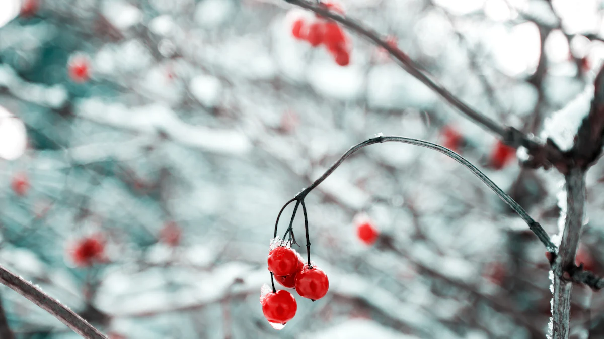Innovations in Cherry Cold Storage Technologies for 2025