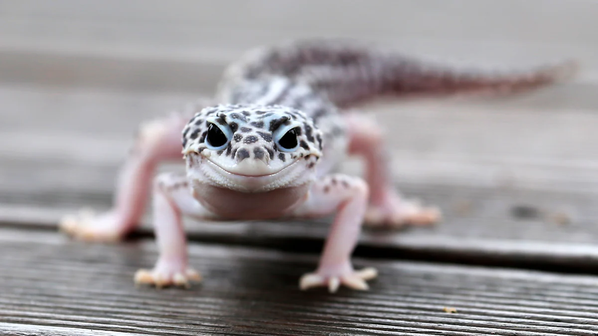 How Many Mealworms Should You Feed Your Leopard Gecko?