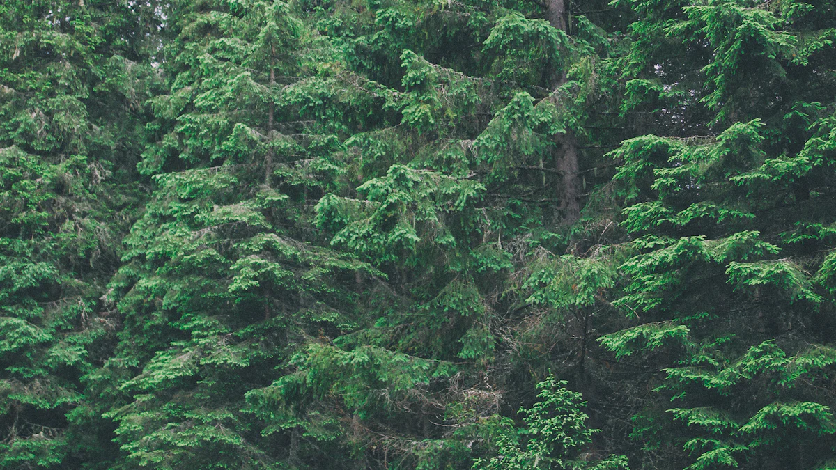 Top 10 Relaxing Yoga Music Playlists for Inner Peace