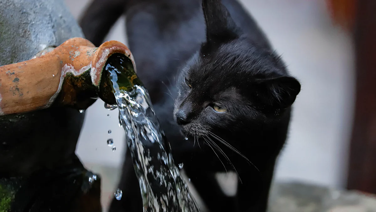 Top Picks for Cat Water Dispensers That Cats Love