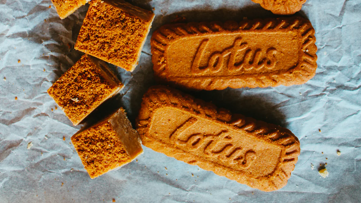 Les origines de Shanty Biscuits et son développement sur Instagram