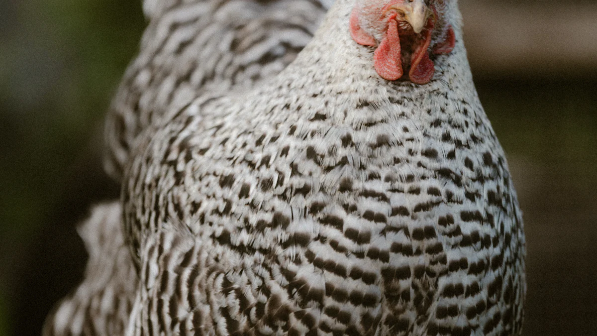 Nutritional Benefits of Mealworms Bulk Dried