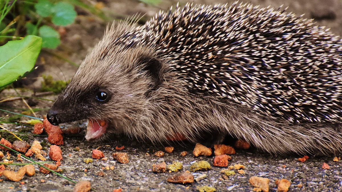 Nutritional Benefits of Exotic Nutrition Dried Mealworms