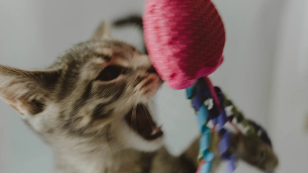 Interactive Cat Toy Ornaments