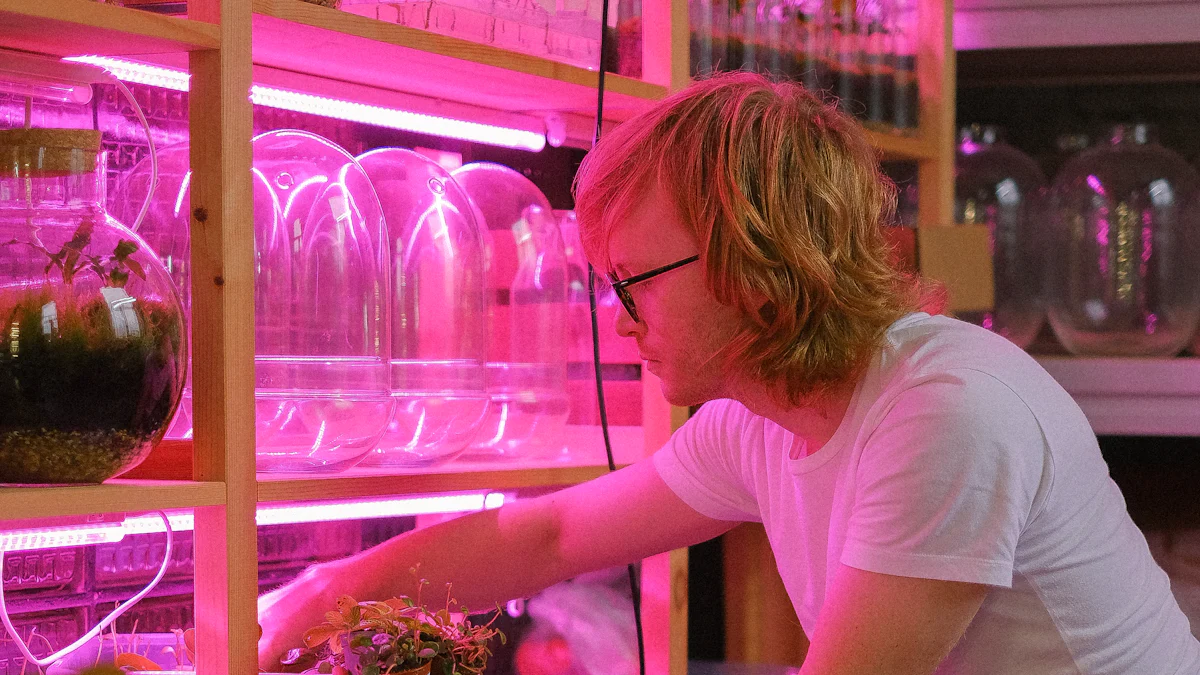 2024年十大温室LED植物生长灯