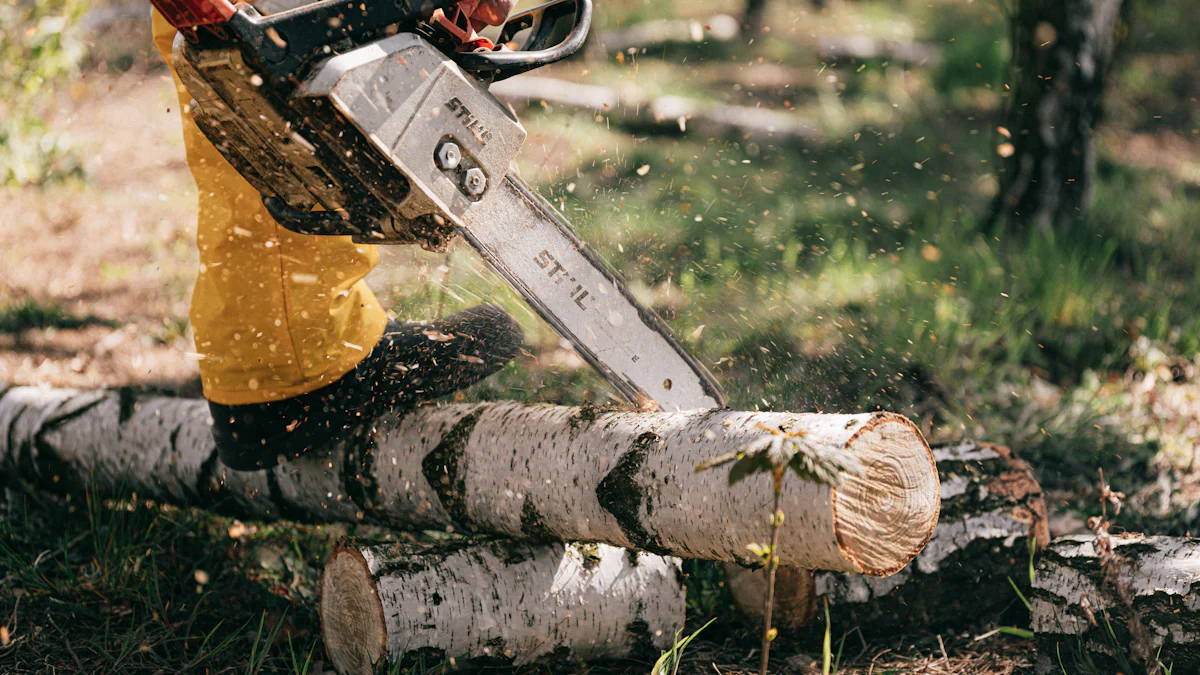 Top Wood Cutting Tools Reviewed for 2024
