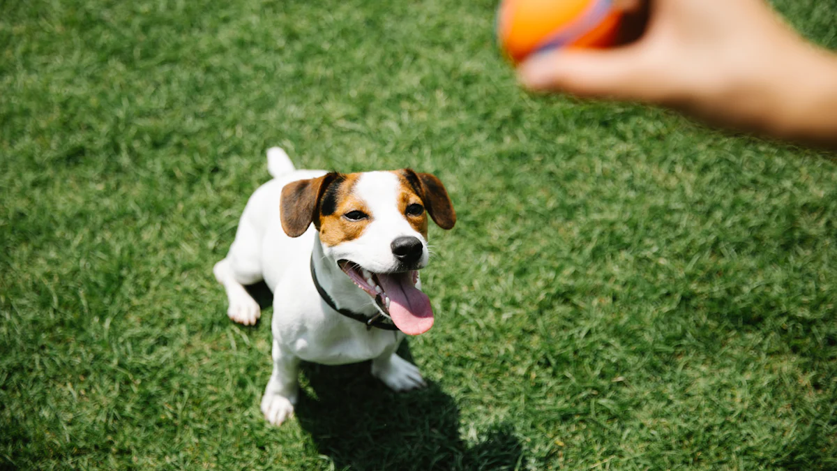 Balle joyeuse pour animaux de compagnie