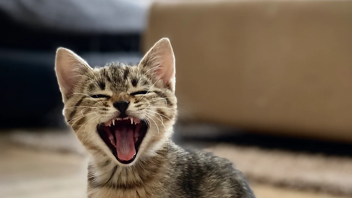 Scopri il goat yoga: un'esperienza unica di benessere