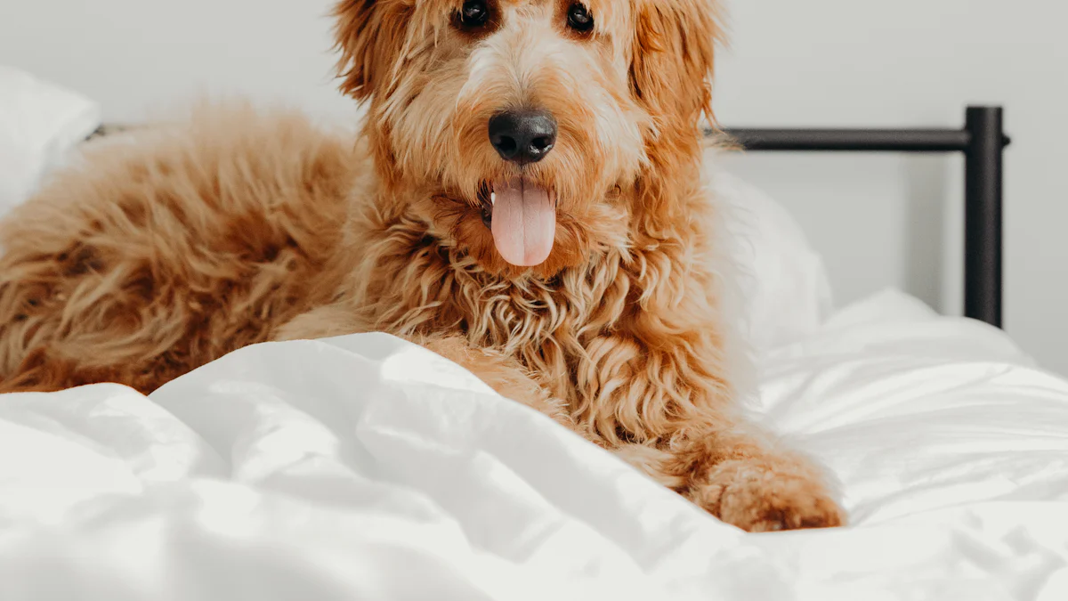 Produto 3: Cama Soneca Luxo Acapulco Pet Yoga Dog