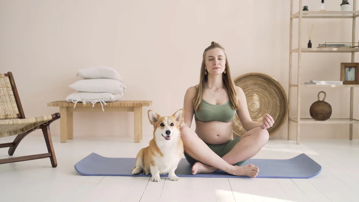 Découvrez les bienfaits du Doga dog yoga pour vous et votre chien