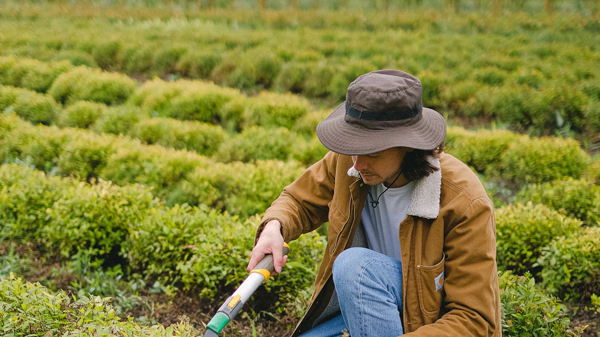 Best Weed Removing Hand Tool for Tough Weeds