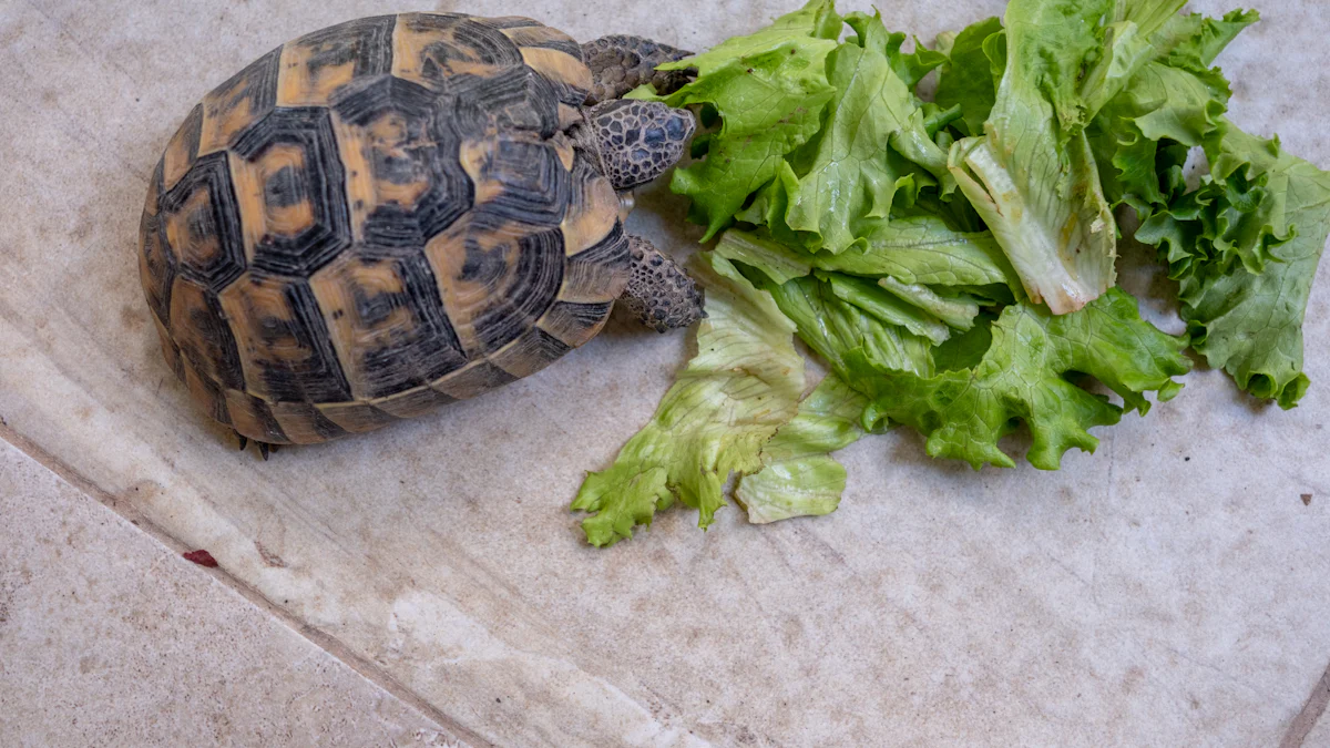 Risks of Feeding Turtles Dried Mealworms​