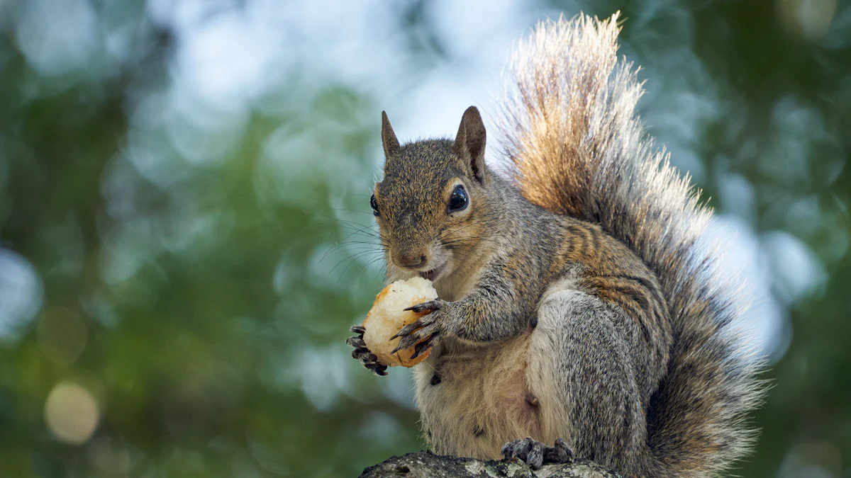 Why Are Squirrels Attracted to Mealworm Food?