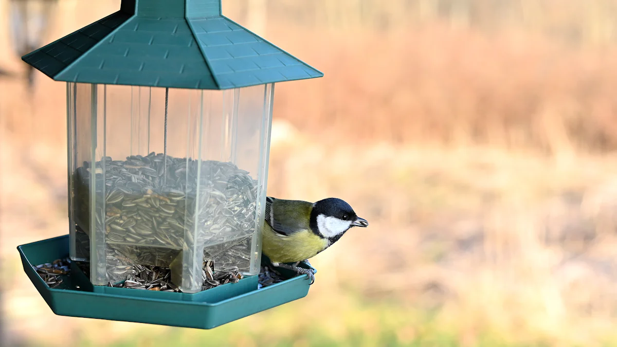 Birdseed: A Popular Choice for Feedbirds