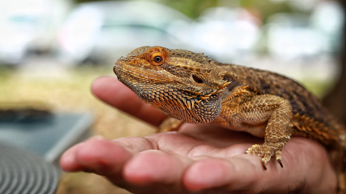 How to Safely Feed Dried Mealworms to Your Bearded Dragon