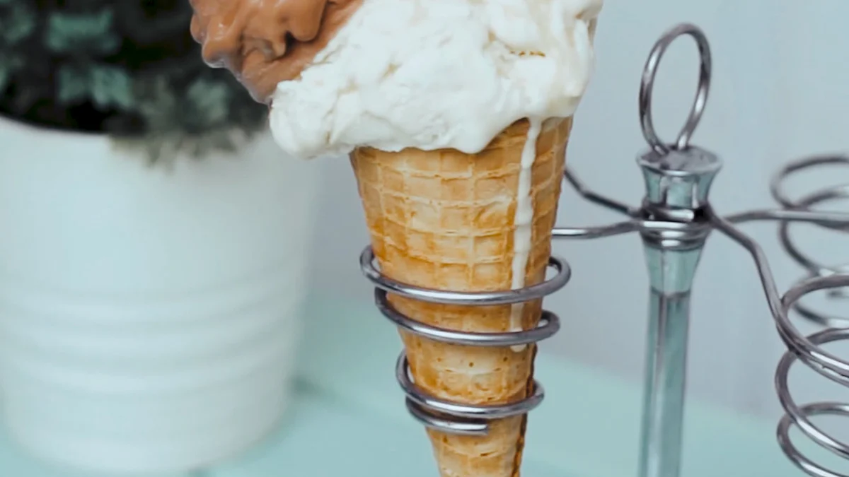 Understanding the Various Ice Makers and Their Functions