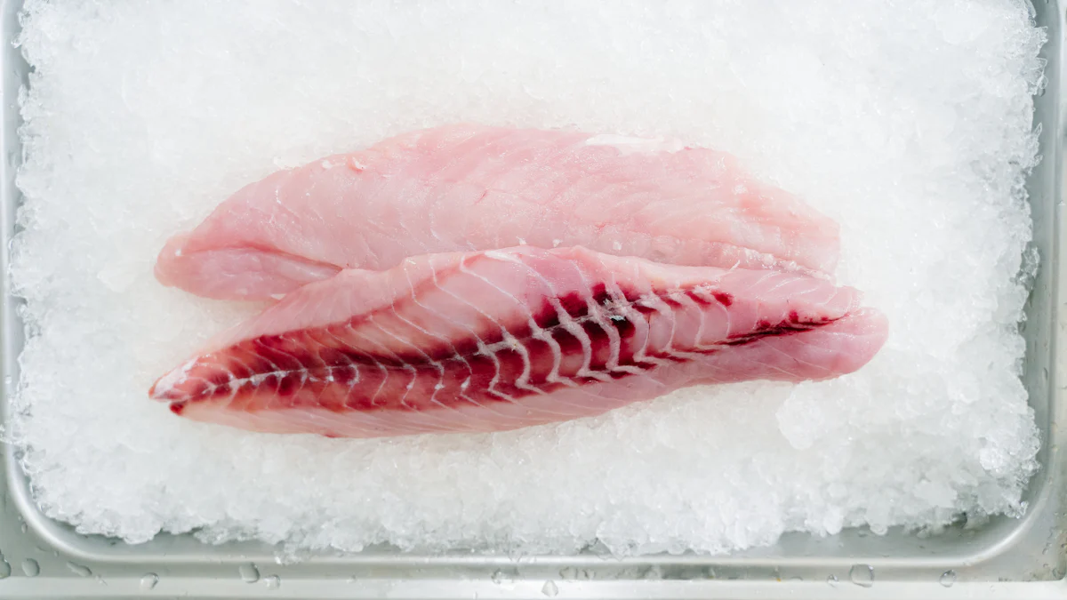 Understanding Plate Belt Freezer Technology