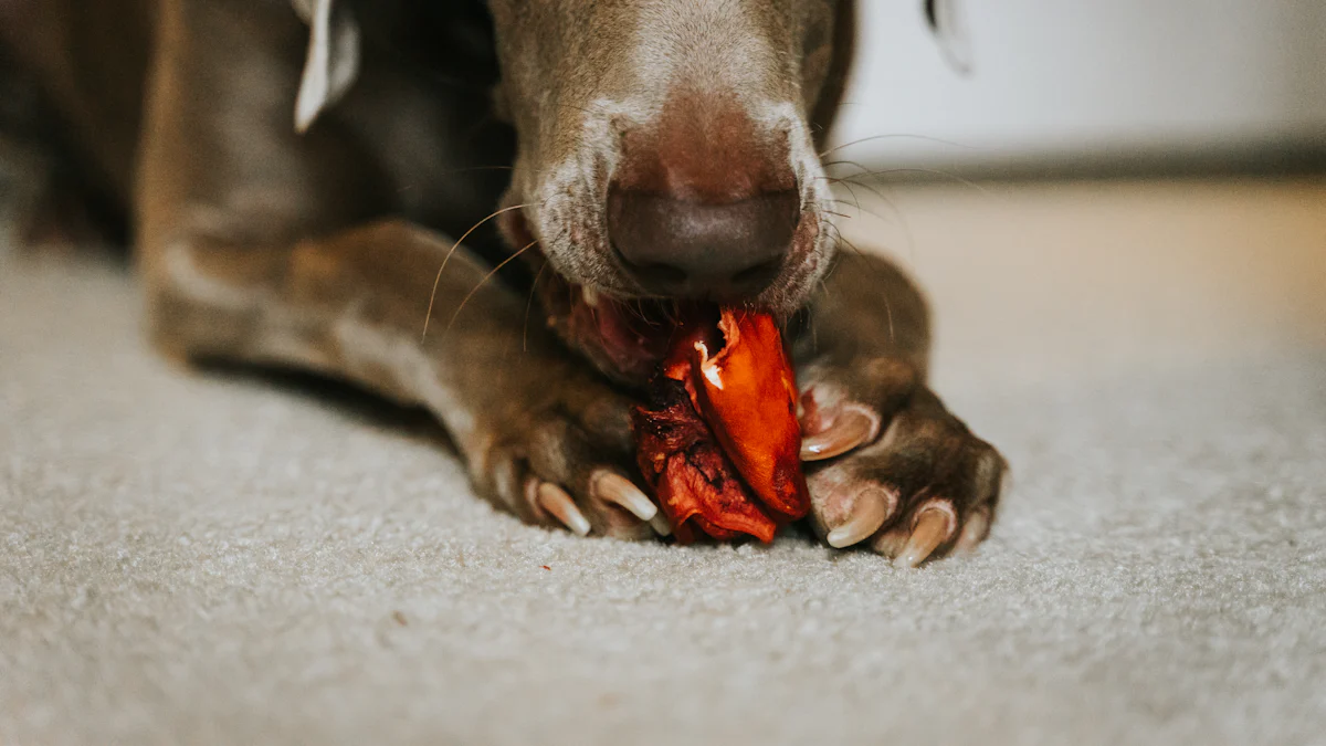 Top 5 Durable Dog Toys for Heavy Chewers