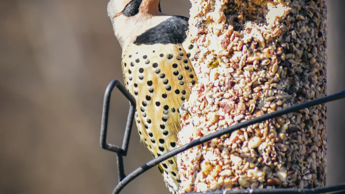 Why Dried Mealworms Benefit Wild Birds Year-Round