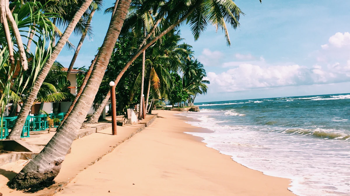 Top 12 Surf and Yoga Retreats in Sri Lanka for 2024