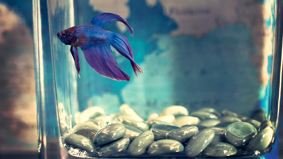 Nutritional Benefits and Risks of Feeding Mealworms to Bettas