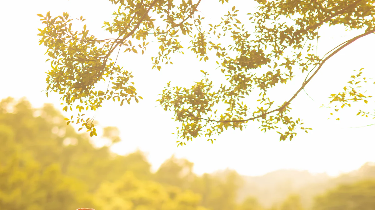 1. Vikasa Yoga Retreat - Koh Samui