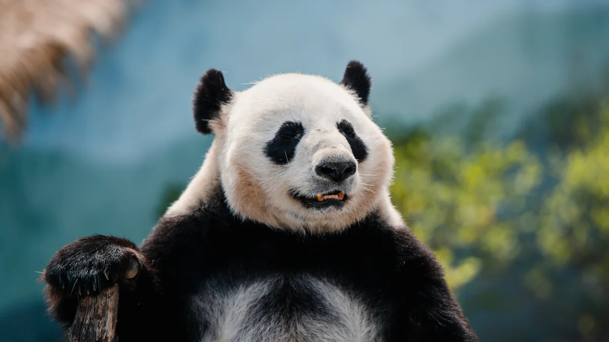 10 Fun Facts About Pandas for International Panda Day