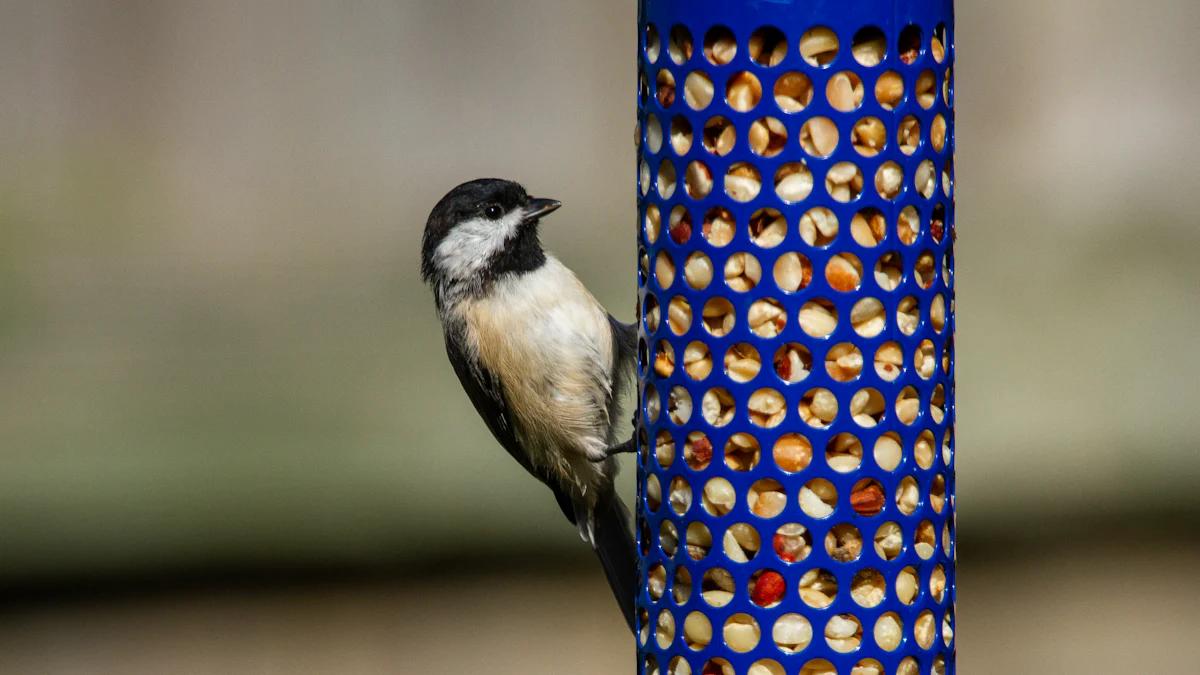 Health Benefits of Feeding Dried Mealworms To Birds