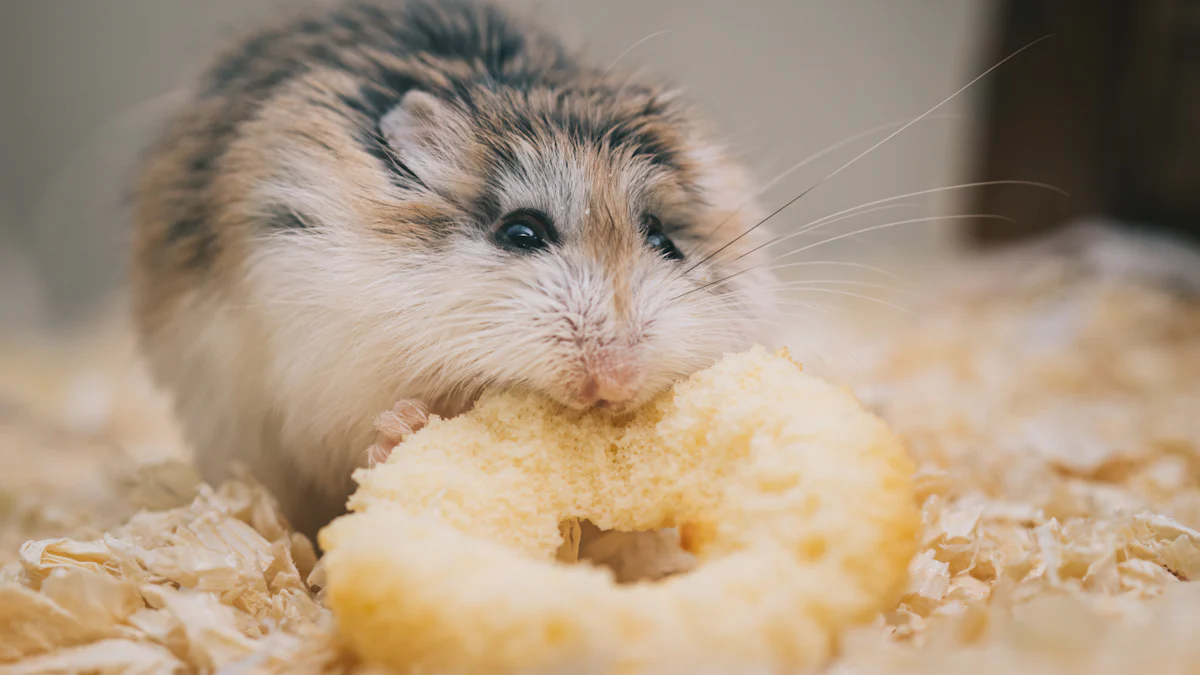 How to Safely Feed Dried Mealworms to Hamsters