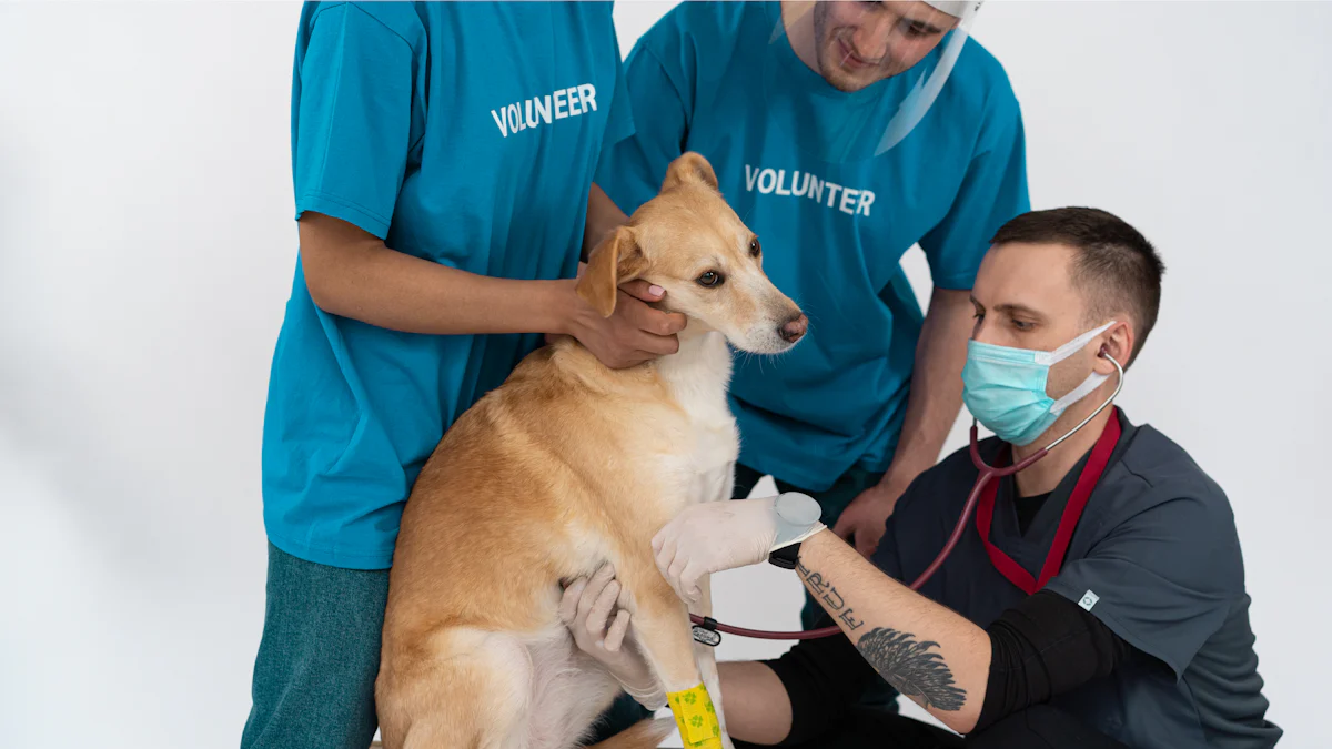 Safety and Infection Control in Premium Veterinary Scrubs