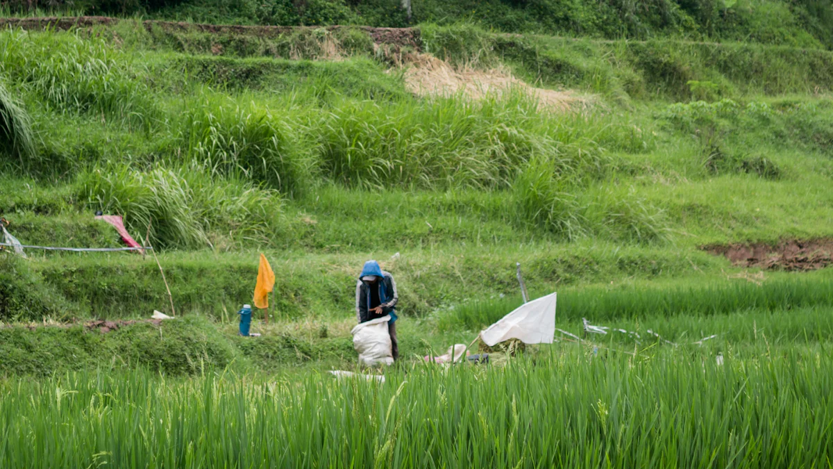 Why Ubud is the Perfect Yoga Retreat Destination