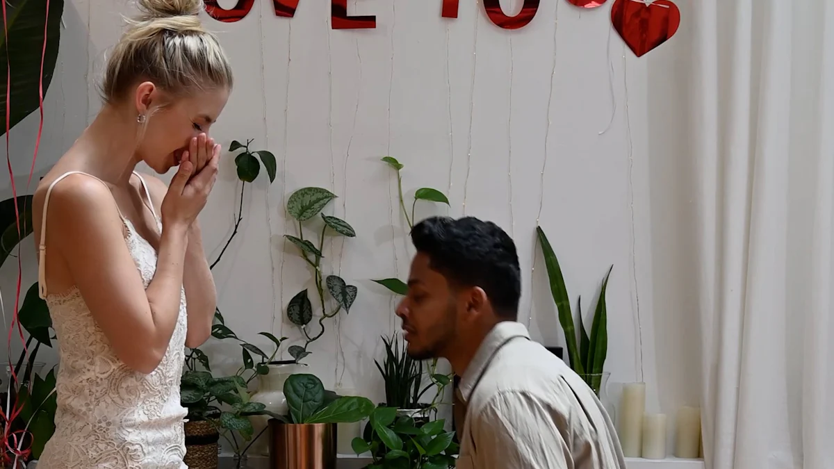 De Evolutie van Yogi Bear: Van TV tot Film