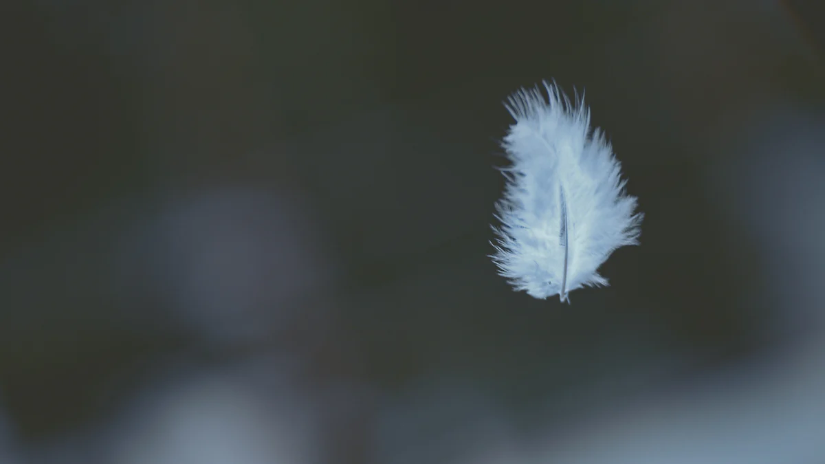 What Constitutes a Calm State of Mind?