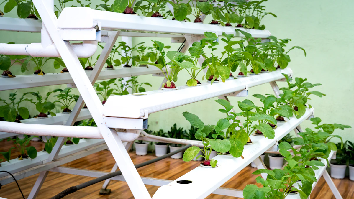 PVC Pipe Hydroponics Made Easy in 2025 - Miilkiia, image size:1200x675