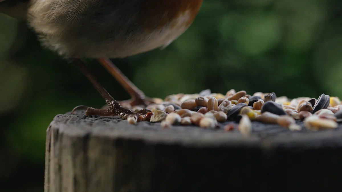 Effective Ways to Serve Dried Mealworms Wild Bird Food