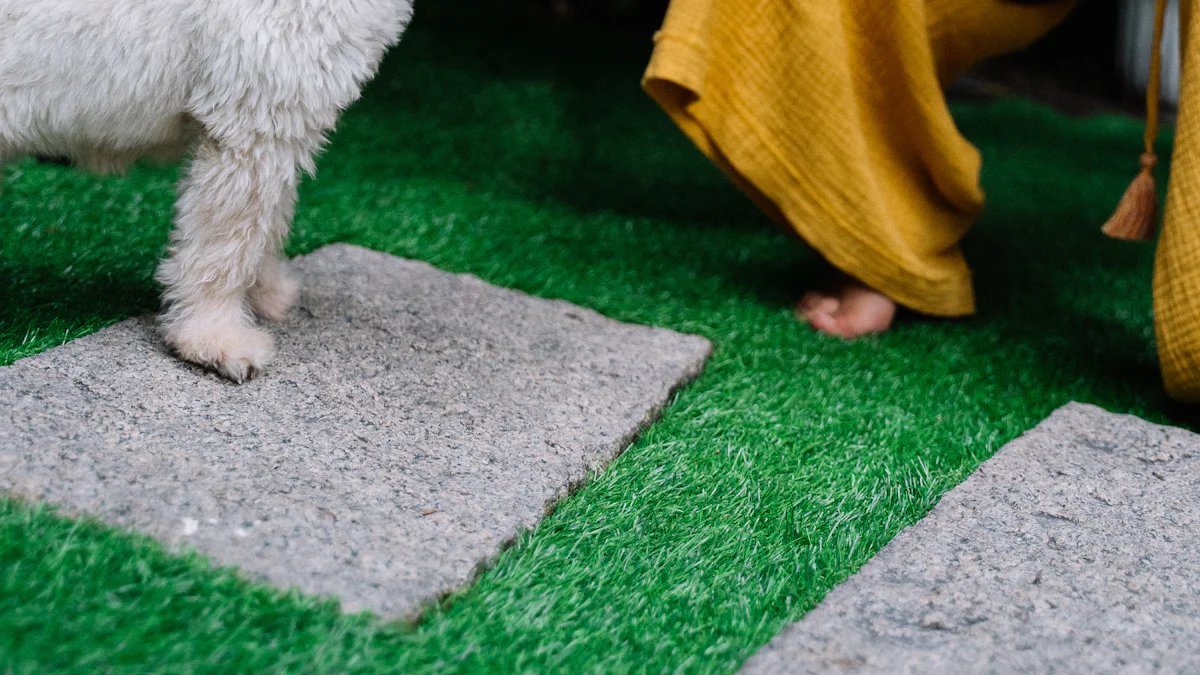 Les bienfaits du doga pour le chien et le maître