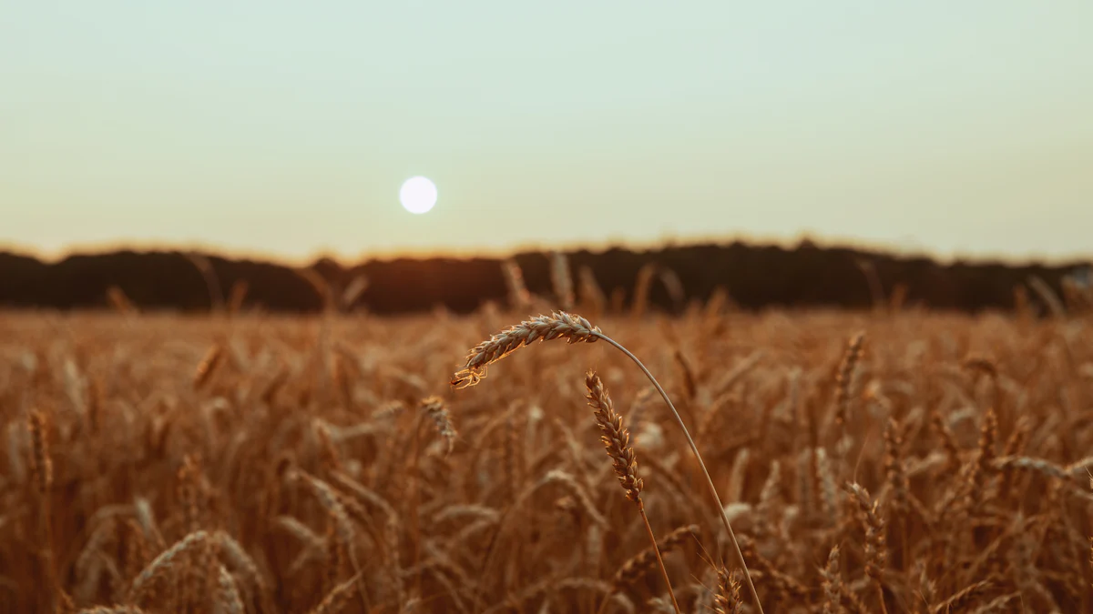 Discover Autumn Elegance with Harvest-Inspired Diamonds