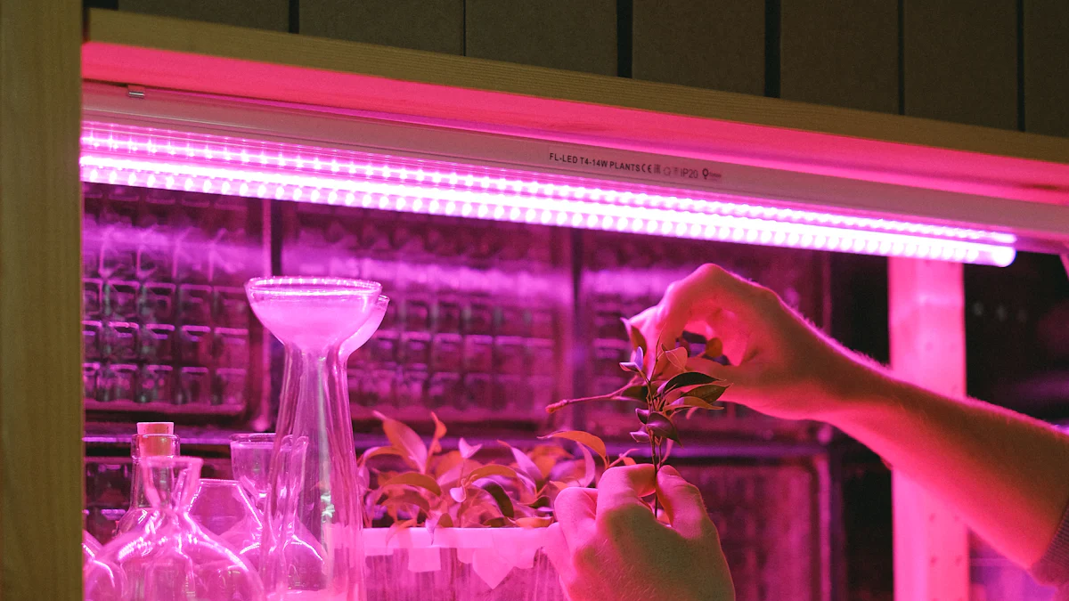 了解 pH 值在水培中的重要性