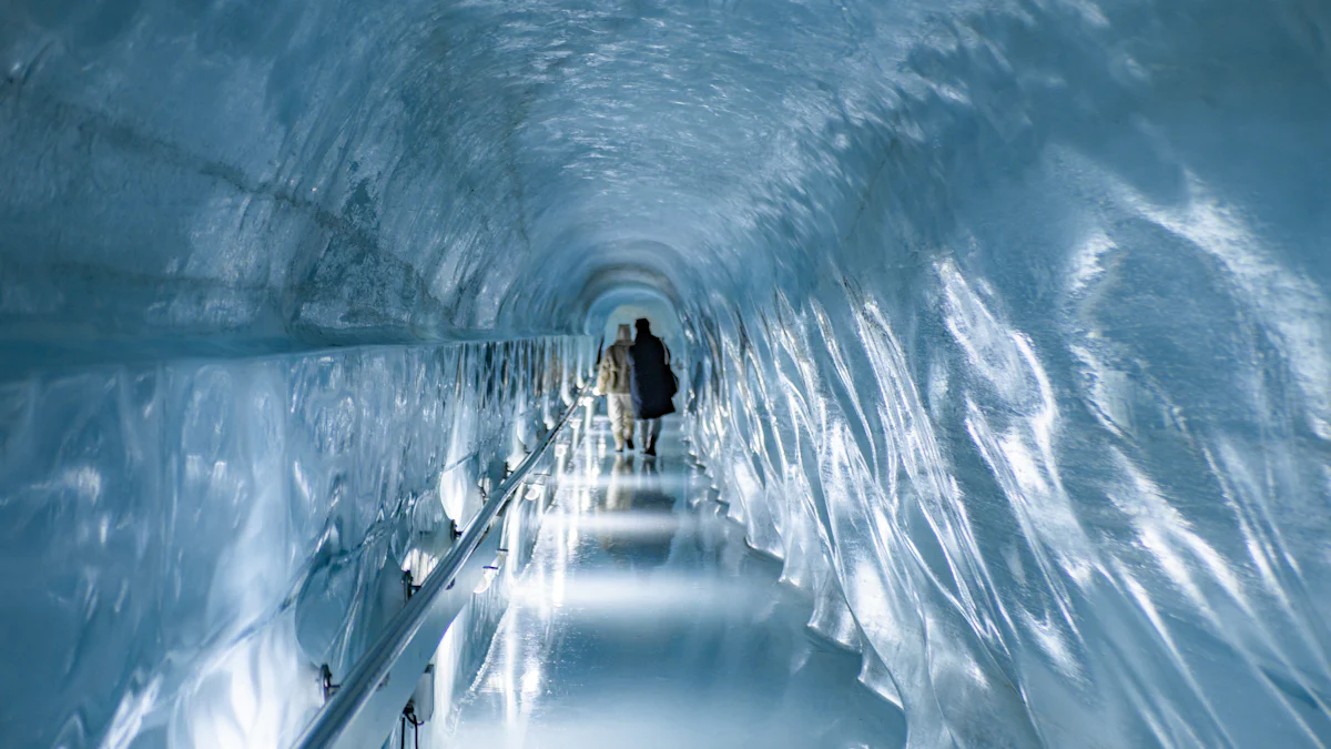 Comparing Features of Top Tunnel Freezer Brands
