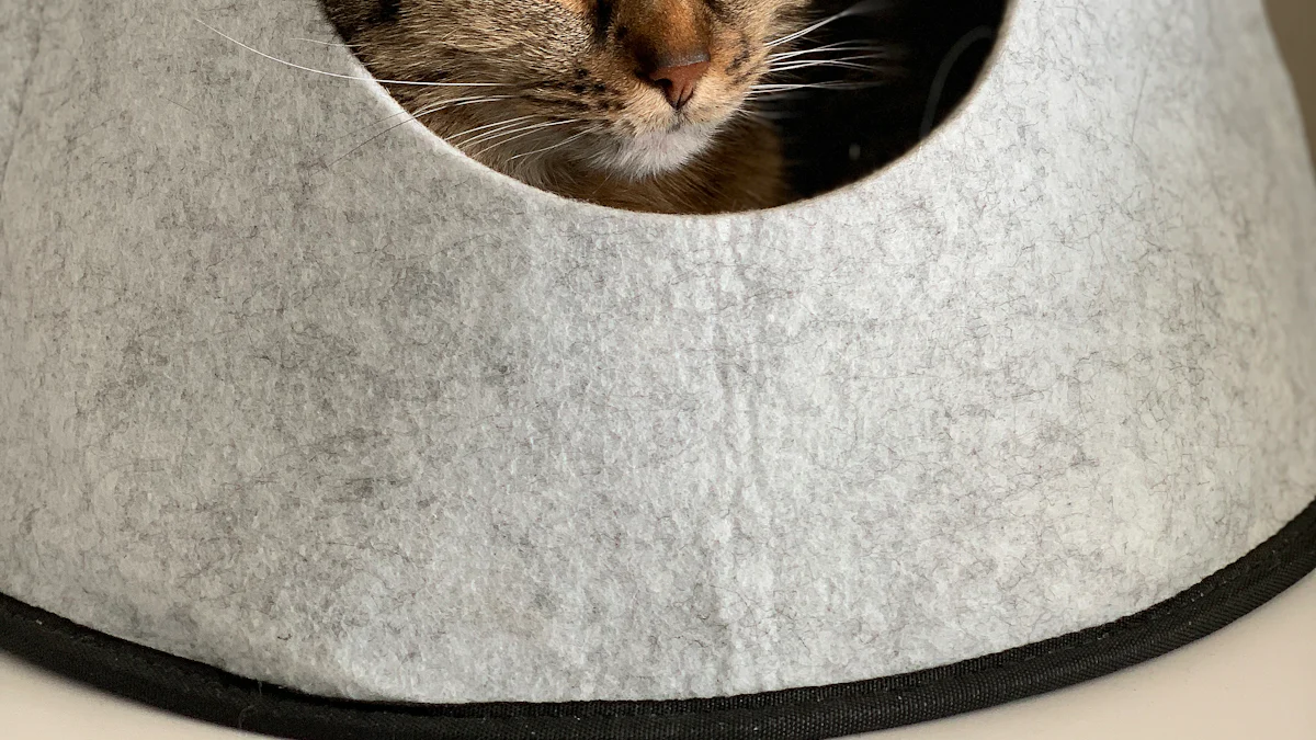 Evaluating Tunnel Design for the Perfect Cat Bed