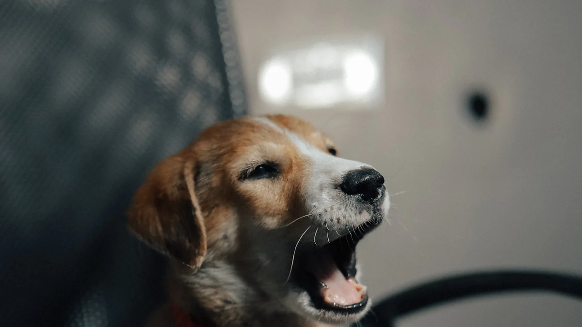 Crystal-Studded Puppy Ring