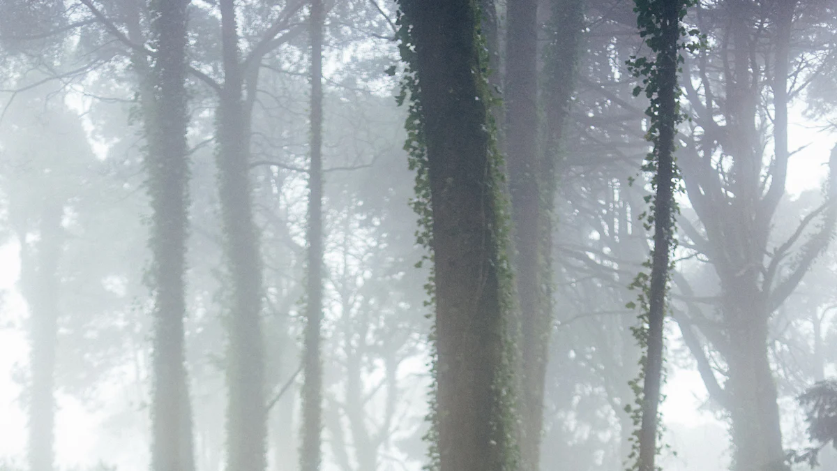 Как составить расписание тренировок DDP Yoga Extreme